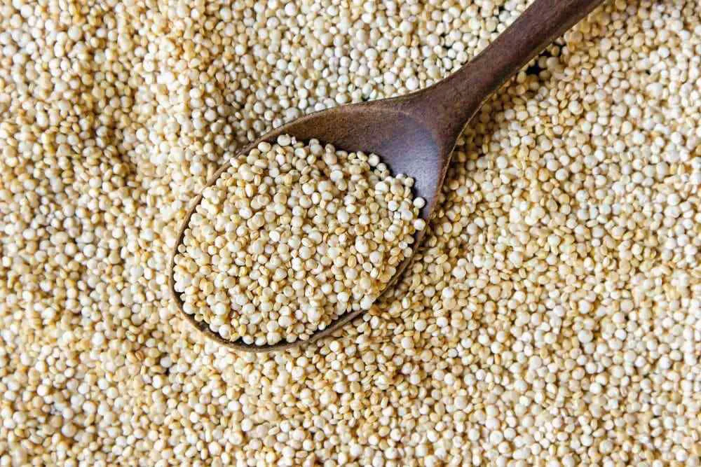 cuchara con quinoa