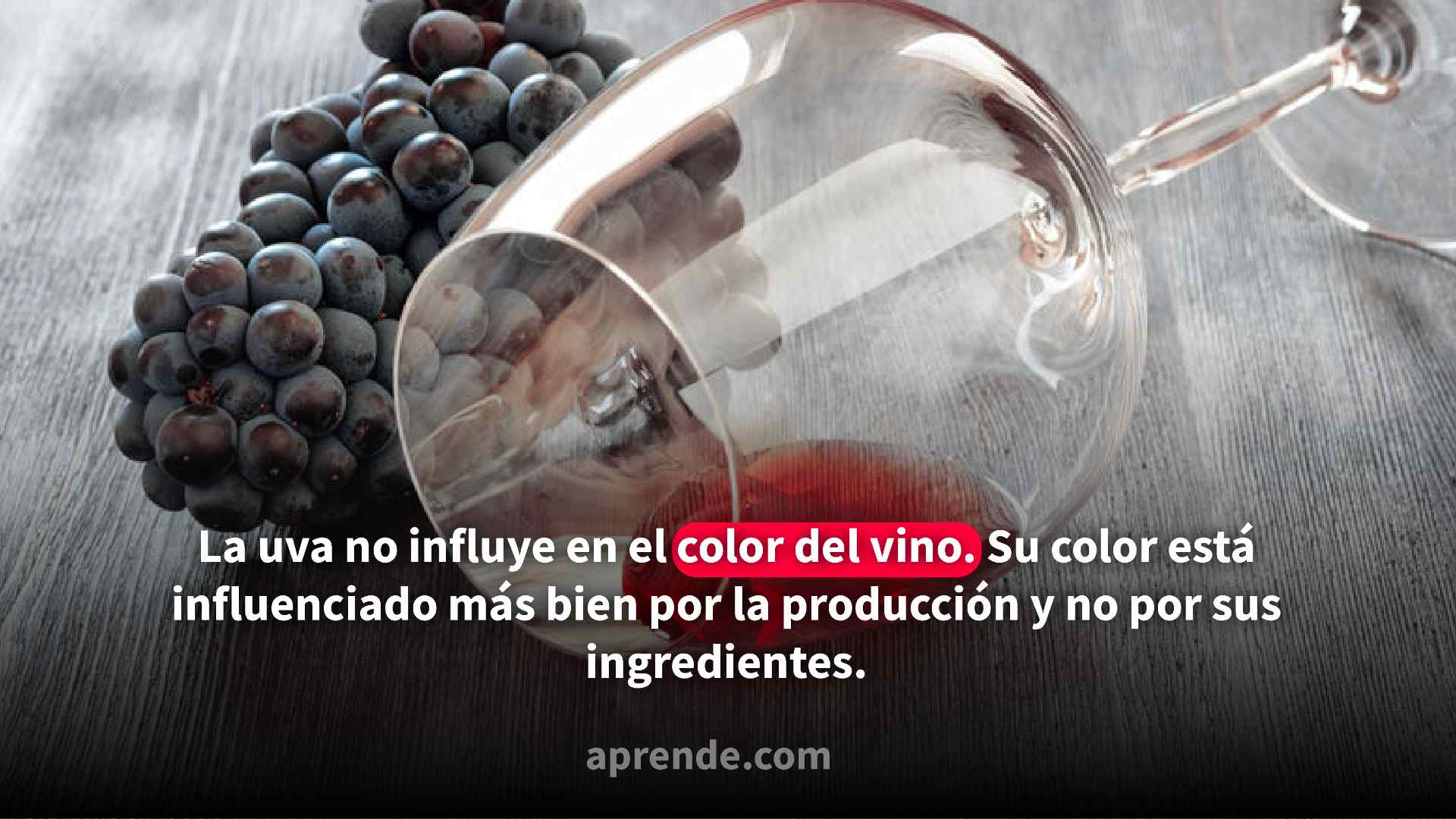 Copa de vino con uvas al lado