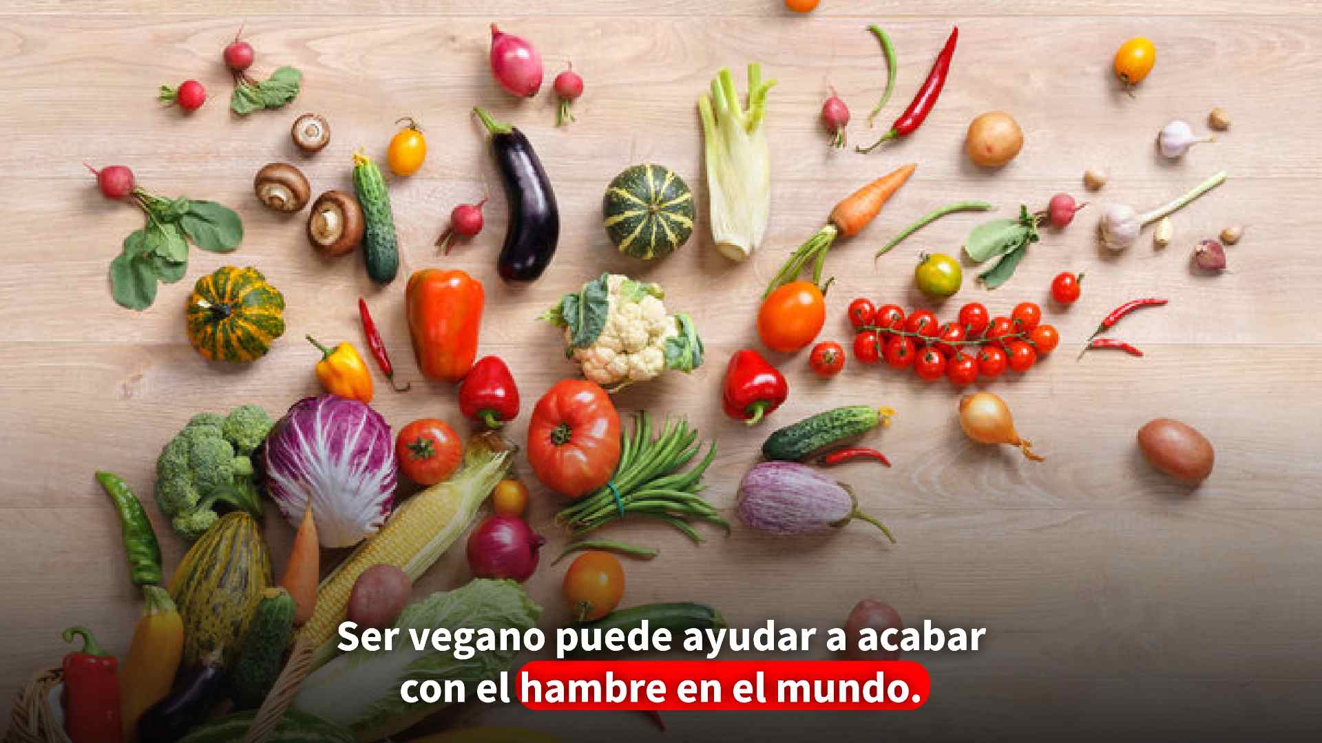 Alimentos vegetarianos