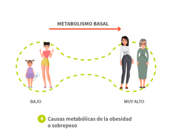 Imagen que resume las causas metabólicas de la obesidad o sobrepeso