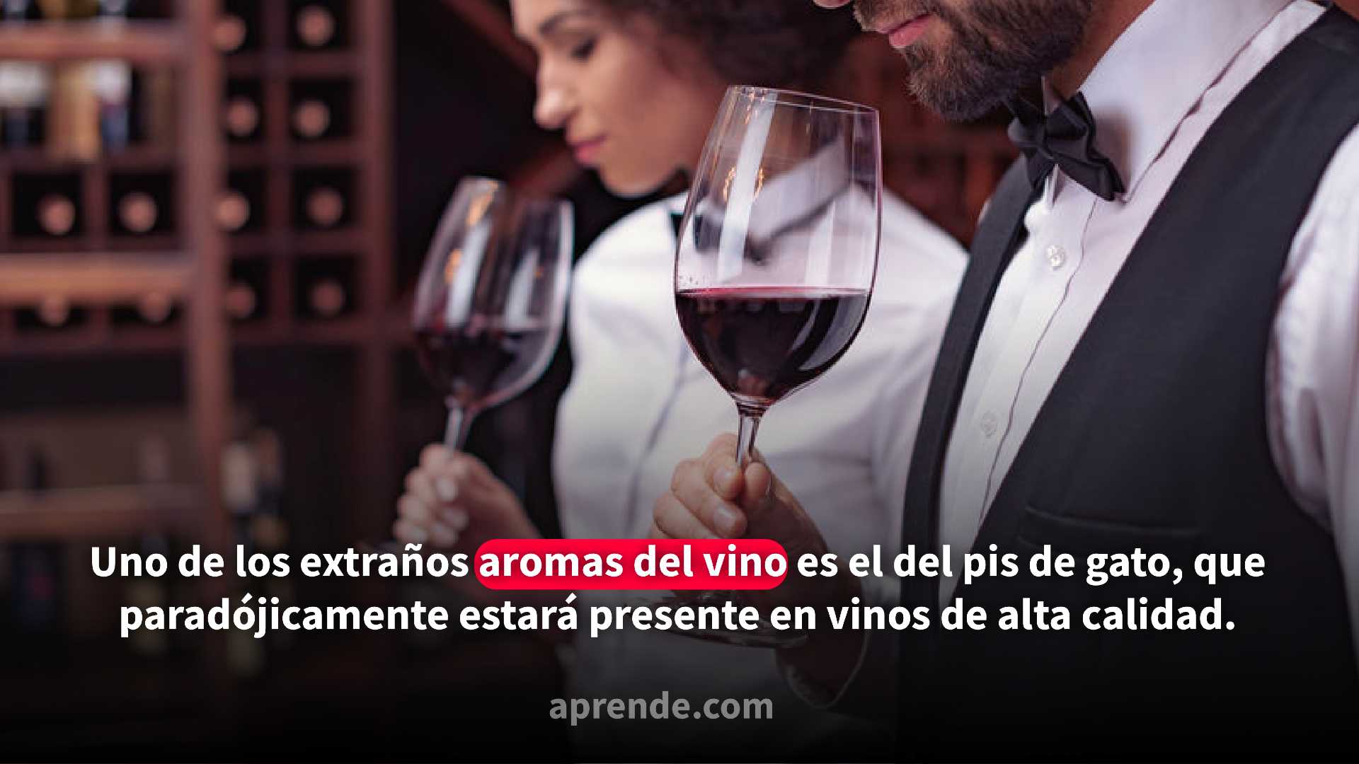 Expertos olfateando el vino