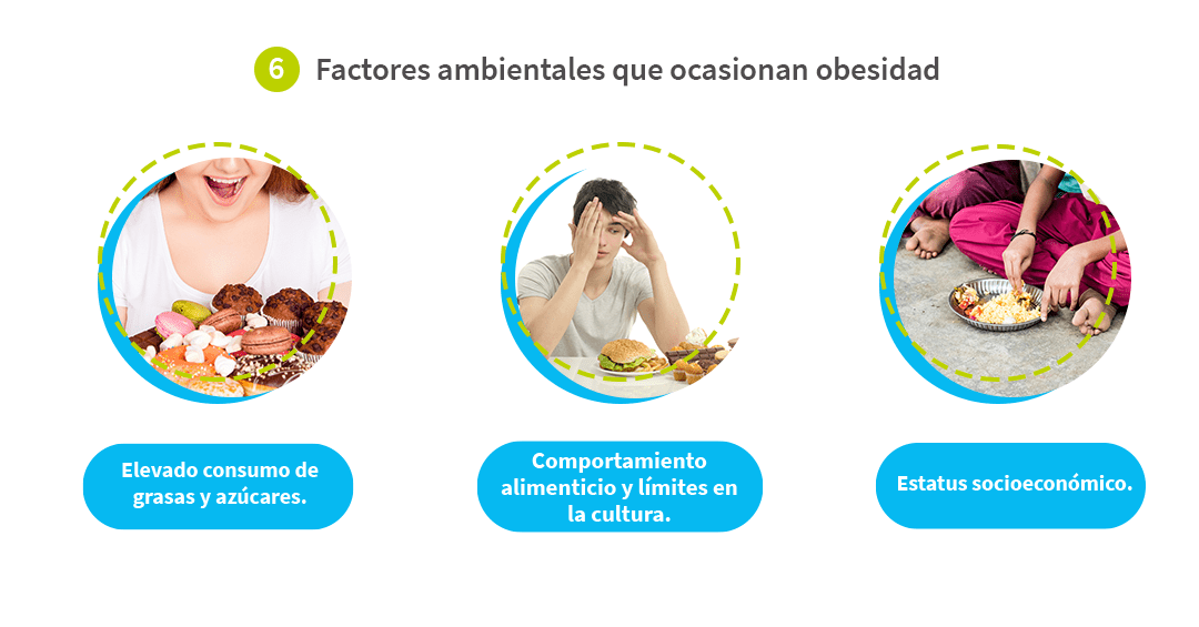 esquema que representa los factores ambientales que causan obseidad