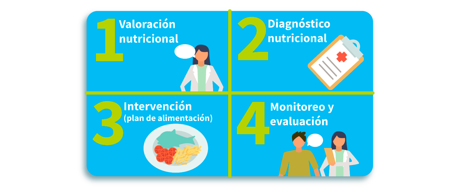 Plan de alimentación