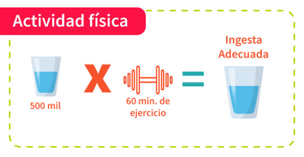 esquema actividad física