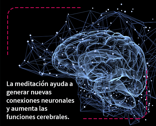 ilustración de un cerebro