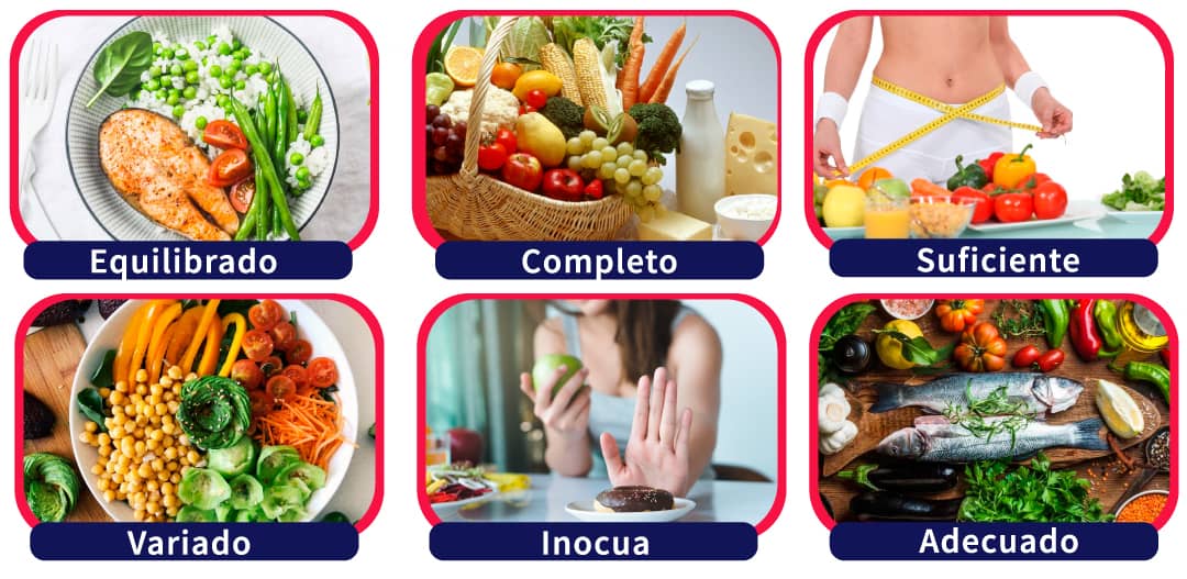 imagen de un esquema de menús saludables