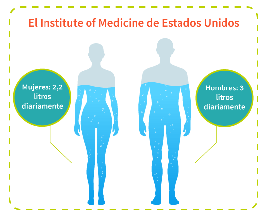 Esquema ilustración ingesta adecuada de agua