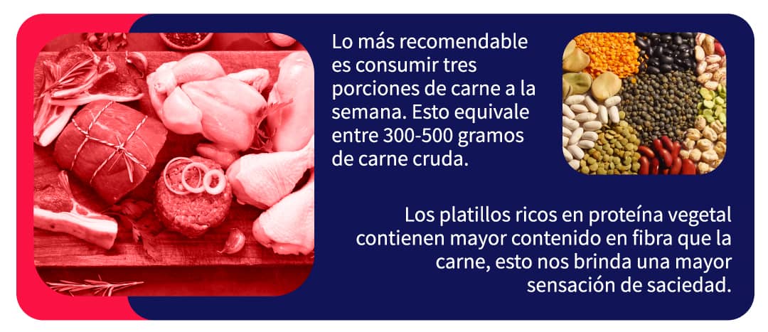 Esquema leguminosas y alimentos de origen animal