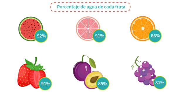 esquema frutas y aporte de agua en el organismo