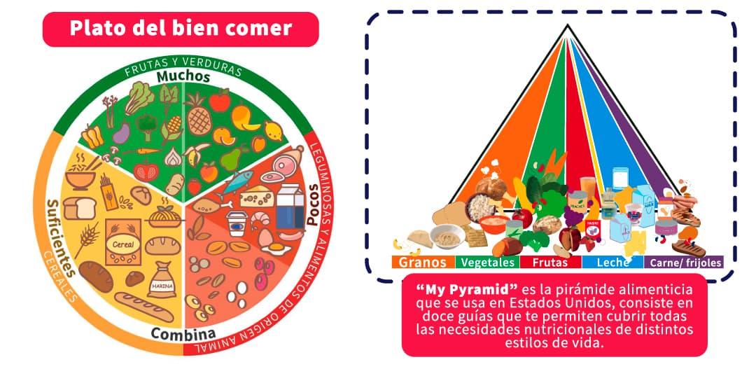 esquema ilustración del plato del buen comer
