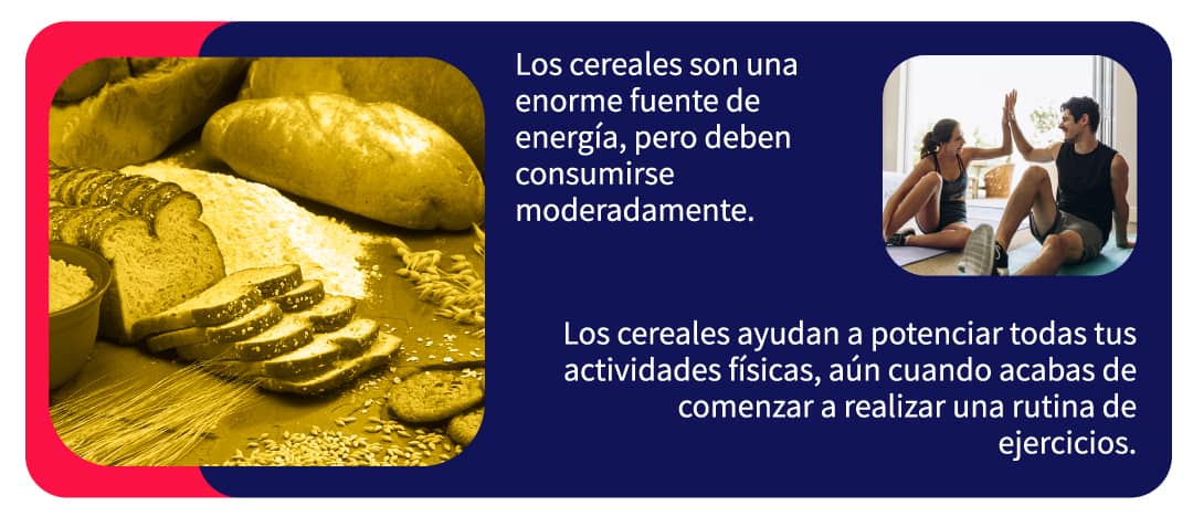 Esquema vitaminas, los minerales, la fibra y el agua