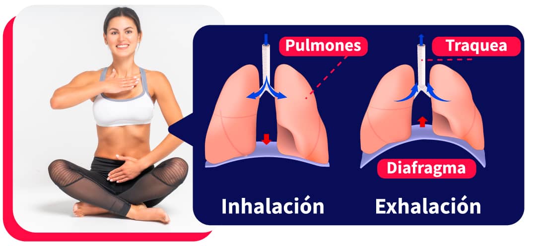 ejercicios de respiración y pulmones