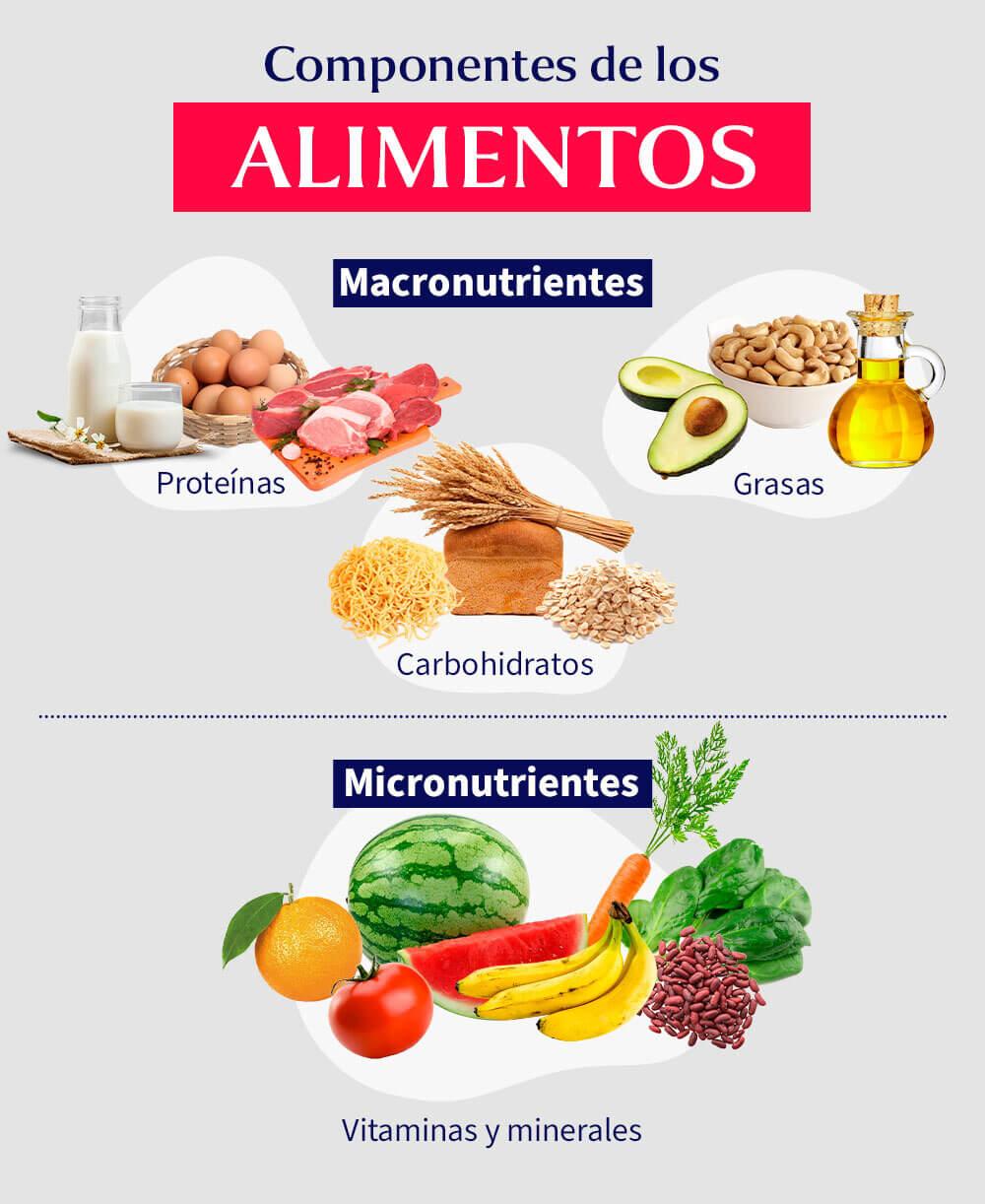 componentes-de-los-alimentos