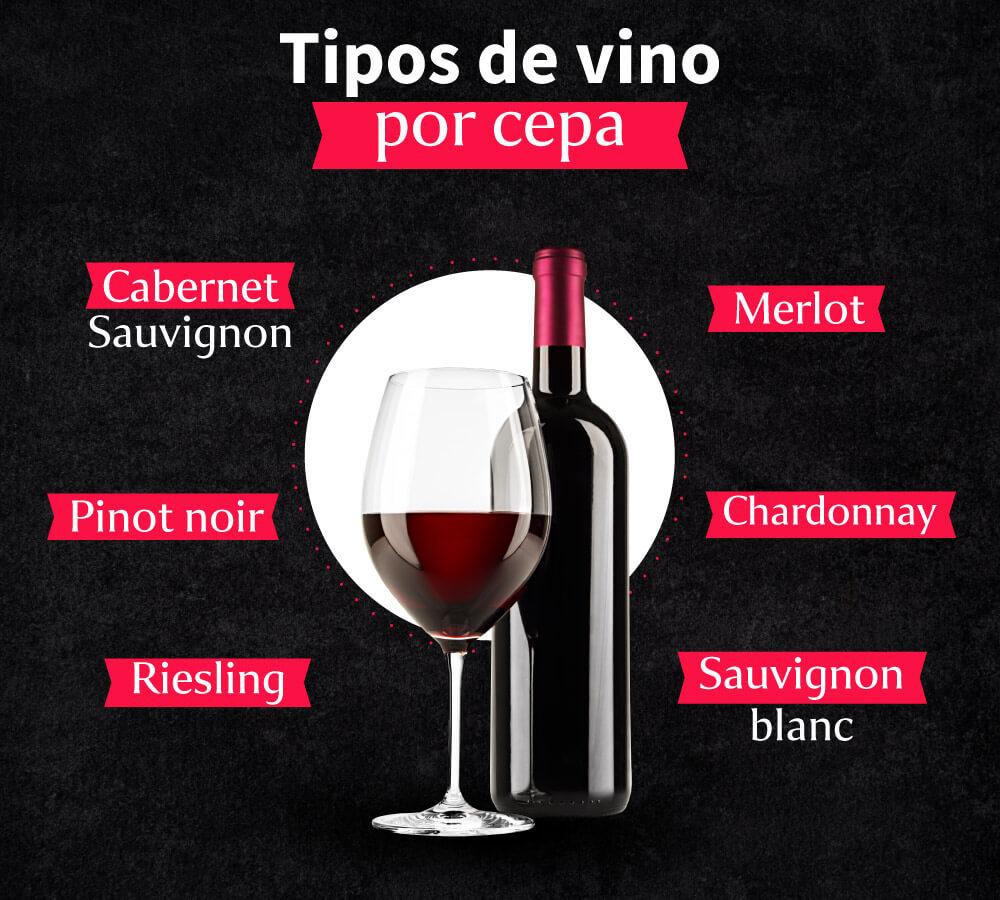 tipos-de-vino-por-cepa