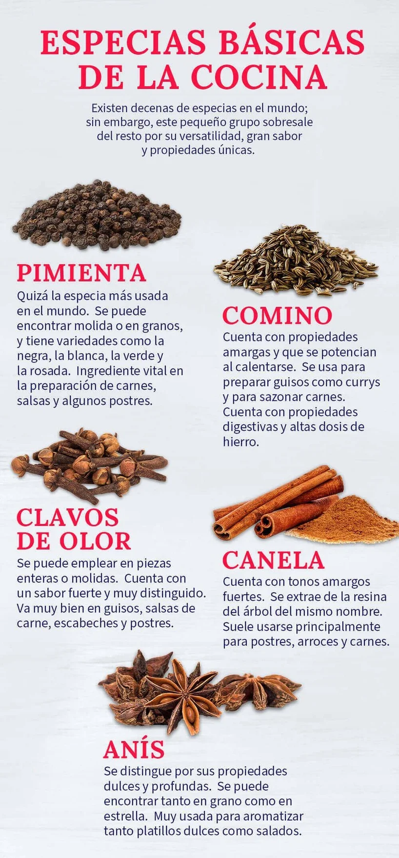 infografia de especias basicas de la cocina