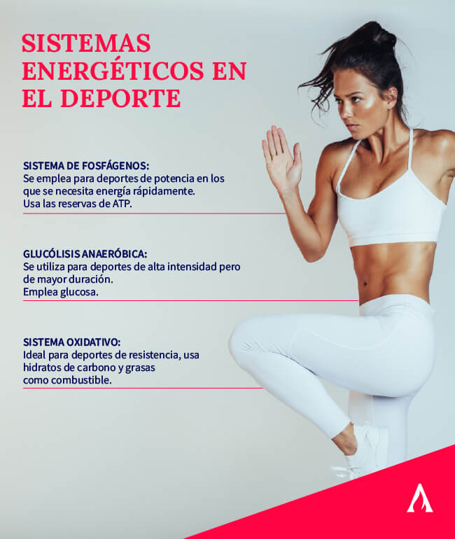 sistemas-energeticos-en-el-deporte