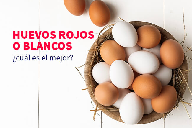 huevos-blancos-o-rojos-cual-es-mejor