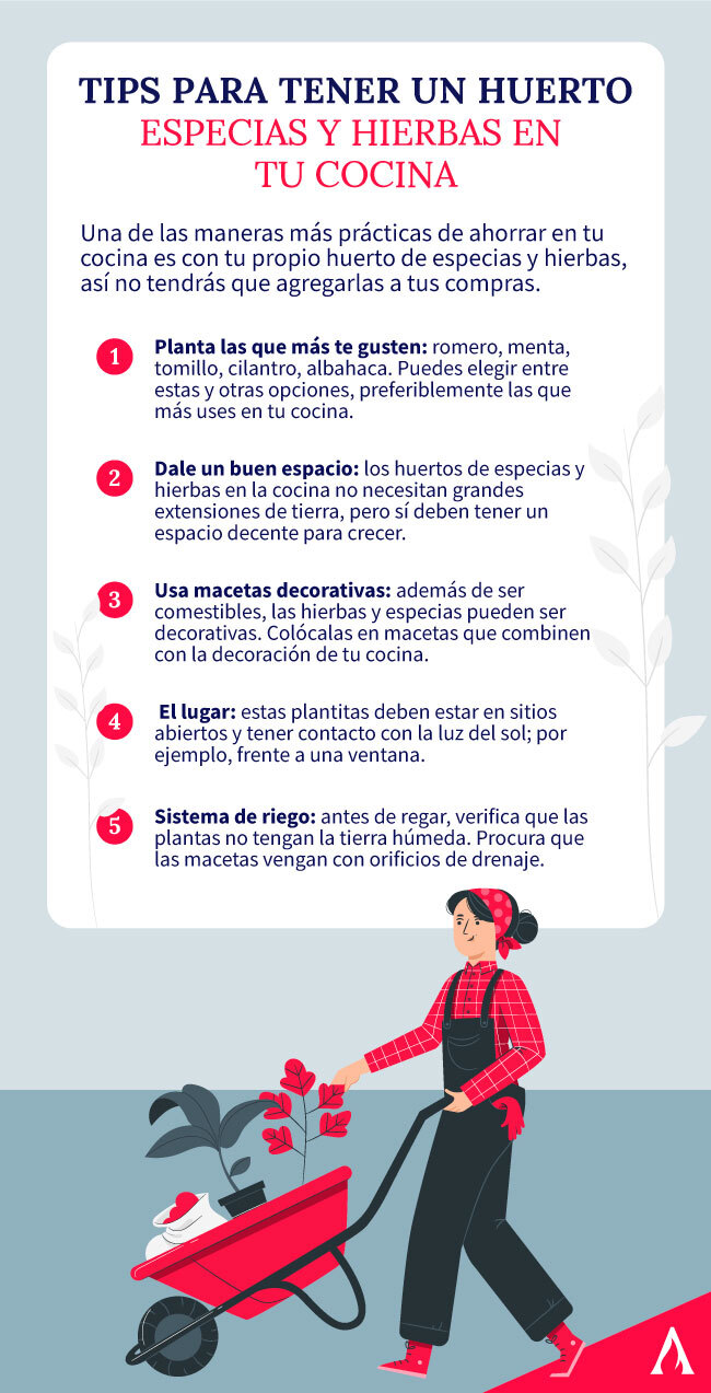 tips-para-tener-un-huerto-de-especuas-y-hierbas-en-tu-cocina