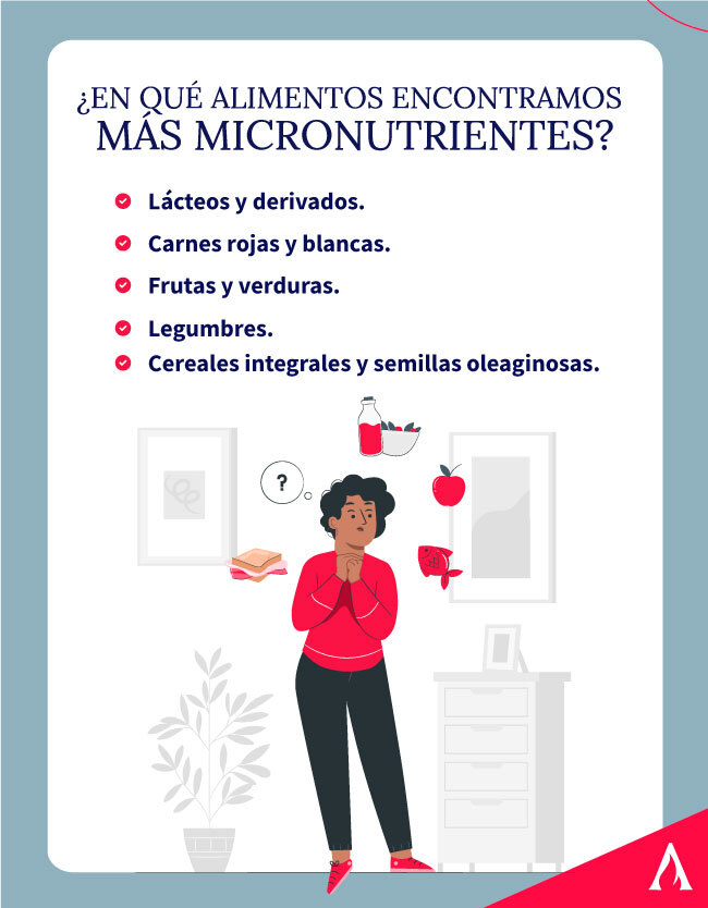 en-que-alimentos-encontramos-mas-micronutrientes