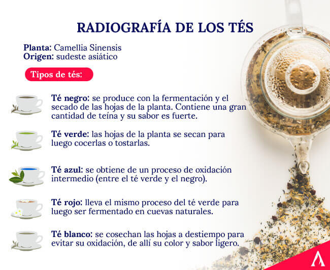 radiografia-de-los-tes