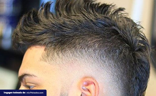 falso-mohicano