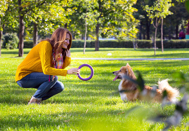 perros jugando junto a su dueña