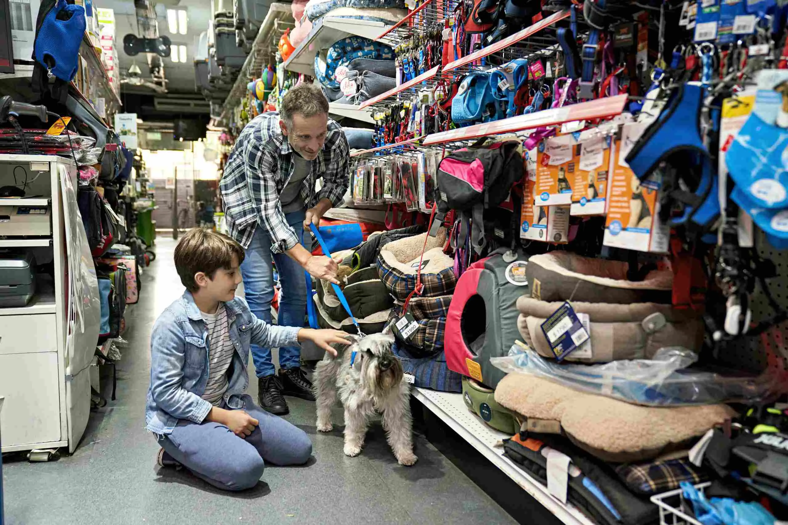 padre e hijo junto a su cachorro en un petshop